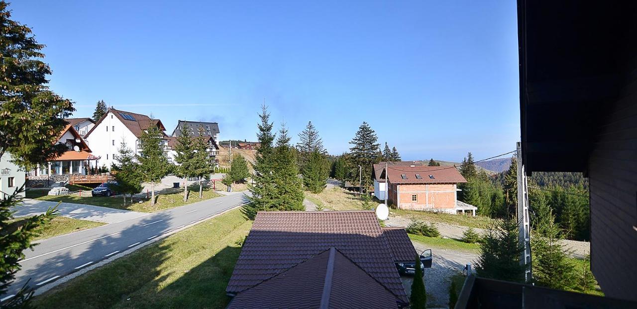 Pensiune & Restaurant Victoria Păltiniş 外观 照片