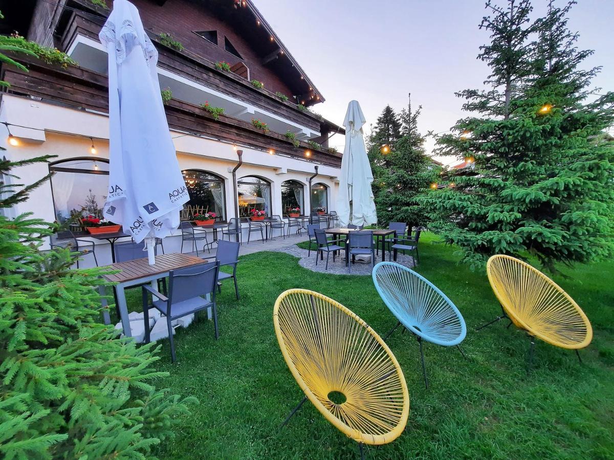 Pensiune & Restaurant Victoria Păltiniş 外观 照片