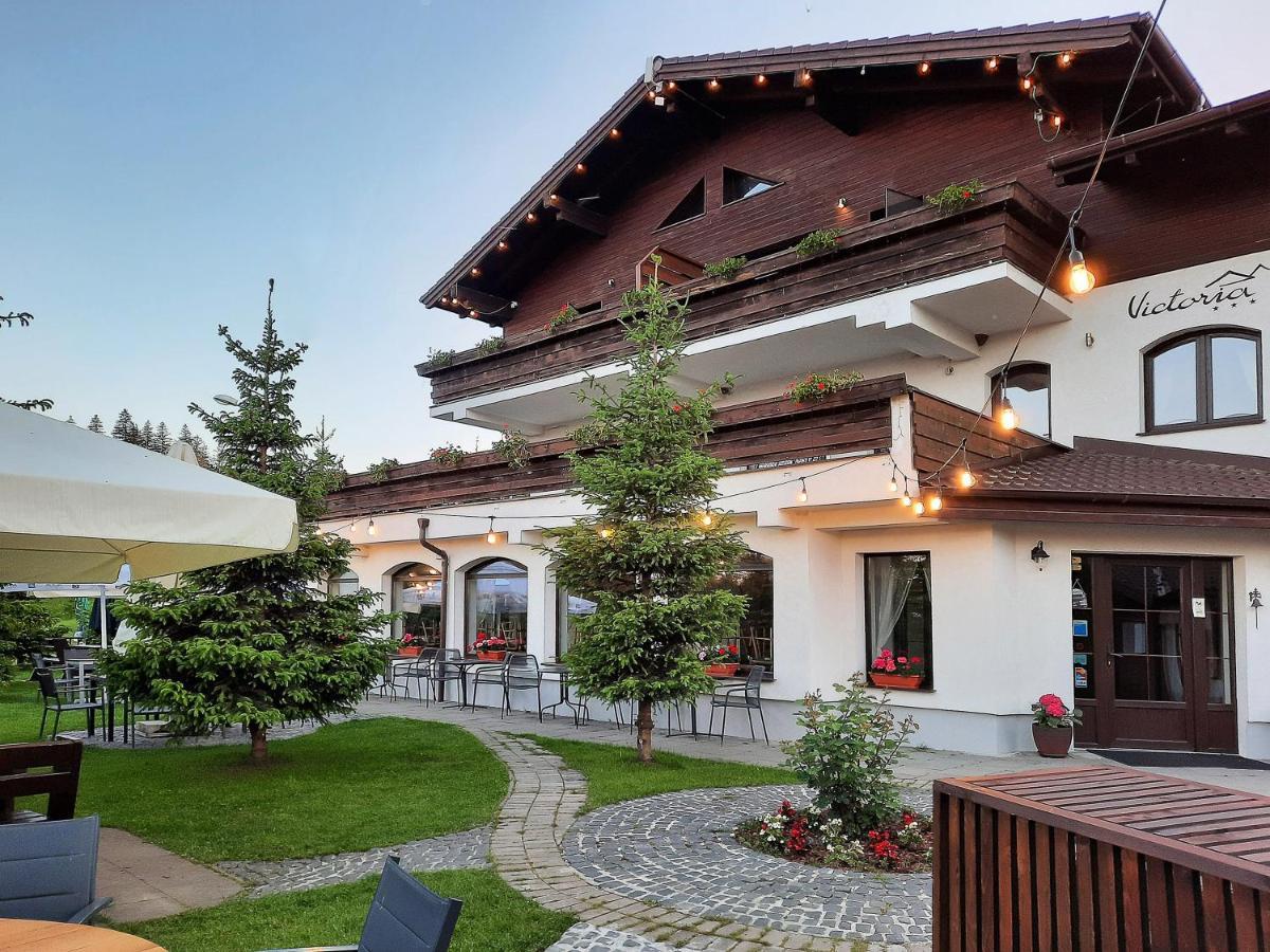 Pensiune & Restaurant Victoria Păltiniş 外观 照片