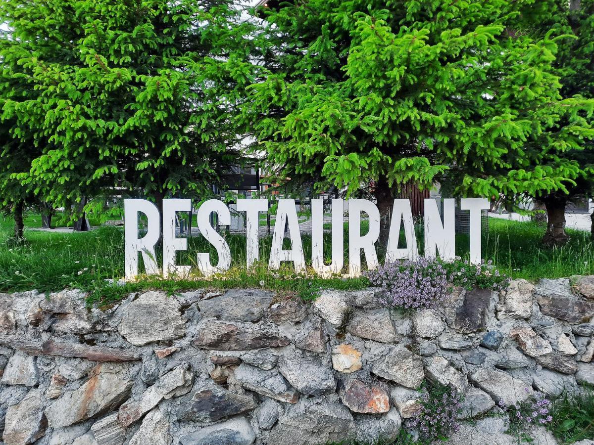 Pensiune & Restaurant Victoria Păltiniş 外观 照片