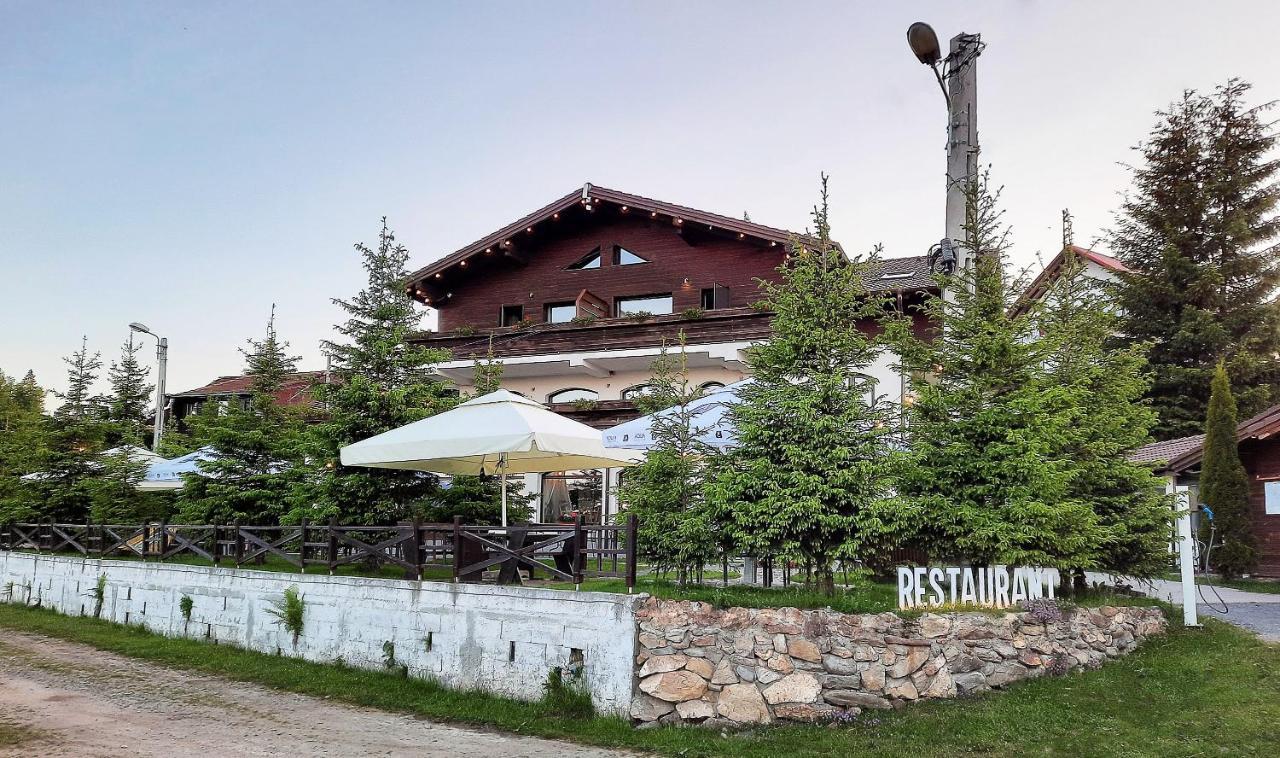 Pensiune & Restaurant Victoria Păltiniş 外观 照片