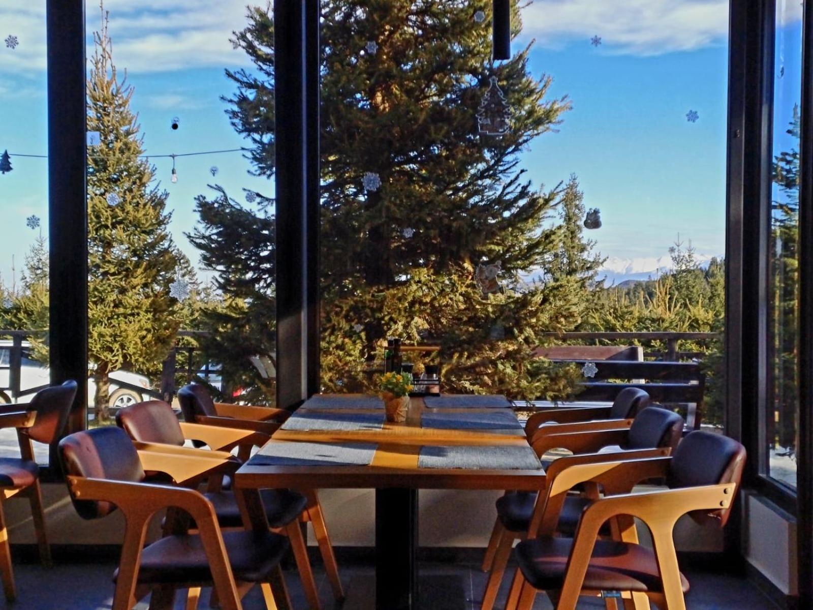 Pensiune & Restaurant Victoria Păltiniş 外观 照片